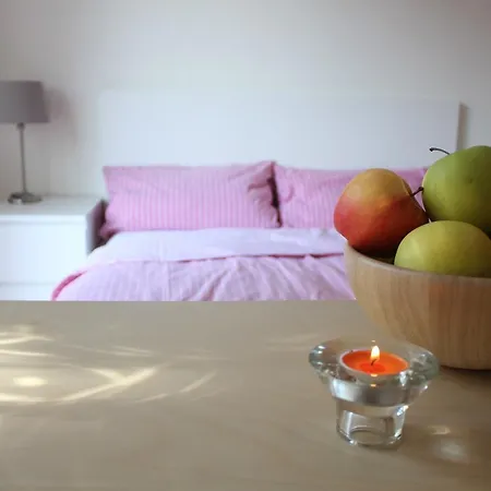 Guest house 